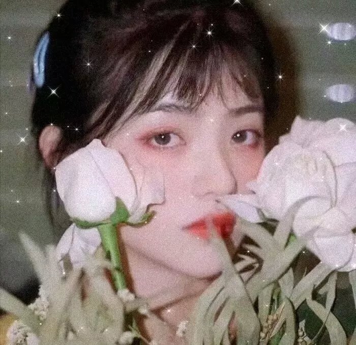 暗恋·橘生淮南2021 封面