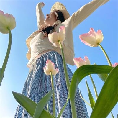 女人树 封面