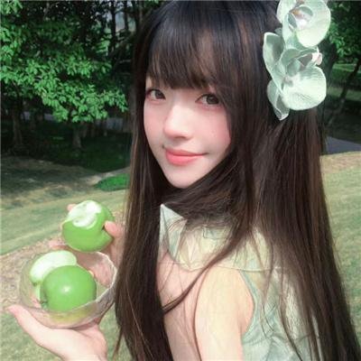 机智的公主殿下 封面